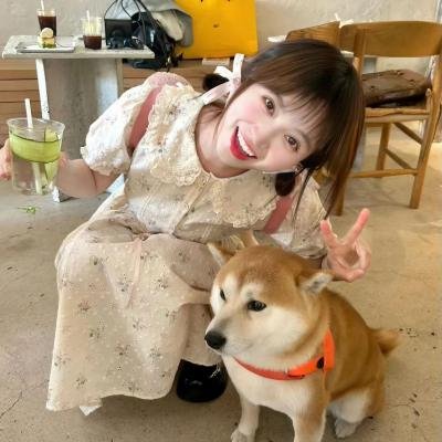 沉默的世界